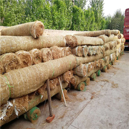 生态植草毯施工流程-*****植草毯-植草毯