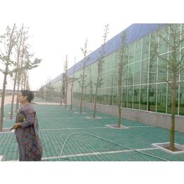 智能温室-青州瀚洋农业(在线咨询)-连栋智能温室