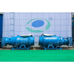 天津潜水轴流泵 QZB井筒式潜水轴流泵 雪橇式潜水轴流泵