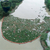 白洋淀湖小孔径管道界碑水域航道码头发光*监测水质航标缩略图2