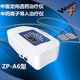 中药离子导入仪-中医直流电导入仪ZP-A6型台式机