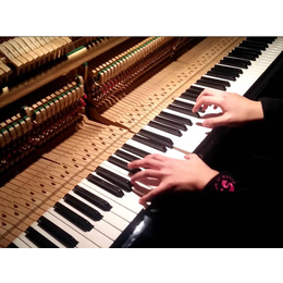普拉姆伯格钢琴JP-190D-邵阳普拉姆伯格钢琴-买钢琴，找长沙蓝音