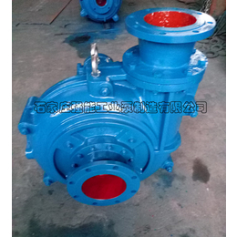 强能工业泵-*浸出液输送泵-贵州浸出液输送泵