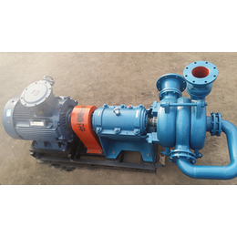 程跃泵公司(图)-雾化机压榨压滤机泵-压榨压滤机泵