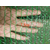 裸土绿网A东驰防尘裸土绿网生产厂A工程防尘裸土绿网缩略图4