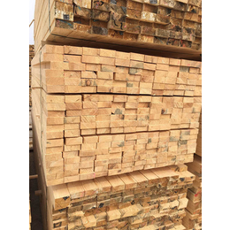 樟子松建筑木方-名和沪中木业-樟子松建筑木方多少钱一方