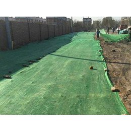 佳实防尘网(图)-工地用盖土网价格-衡水工地用盖土网