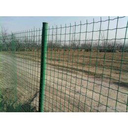 山区养殖防护网-朝阳养殖防护网-绿色卷网