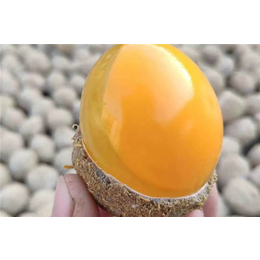 水晶变蛋供应商-新东方食品-西安水晶变蛋
