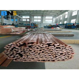 北京紫铜排-无锡博纳斯特钢公司-无氧紫铜排