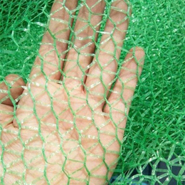 绿色盖土遮阳网 3针盖土网价格 密织盖土网