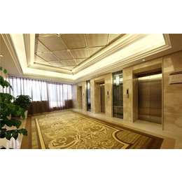 电梯-芜湖迅鑫电梯安装-商用电梯销售