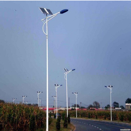 9m太阳能路灯灯杆-9m太阳能路灯-扬州强大光电科技(查看)