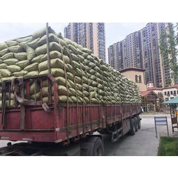 辽宁花卉陶粒 辽宁轻质陶粒 辽宁生物陶粒建筑价优