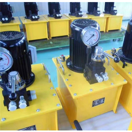 DSS电动泵定做-DSS电动泵-星科液压生产厂家