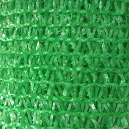 稀织盖土网 扁丝绿色苫盖网 绿化防晒盖土网加工定制