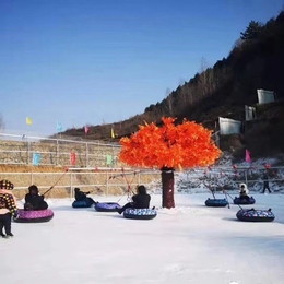 雪地转转  大型戏雪乐园滑雪场设备山东驰胜