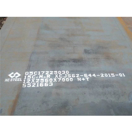 无锡中电建特钢材料-12Cr1MoVR容器板供应商