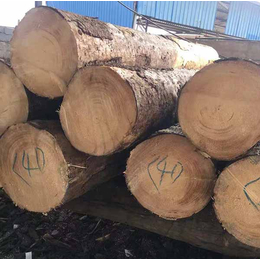 辐射松建筑木方-杨林木业-辐射松建筑木方供应