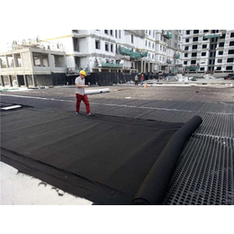 屋顶排水板厂家-屋顶排水板-唐能