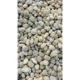 河南鹅卵石-*石材-鹅卵石价格