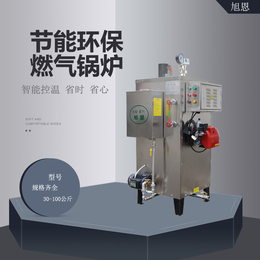 厂家生产液化蒸气发生器工业锅炉