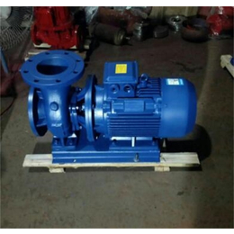 新楮泉泵业公司-ISW300-250铸铁管道泵