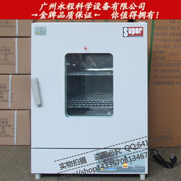 供应DHG-9070A 鼓风干燥箱 70升立式工业烤箱 烘箱