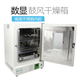 供应上海龙跃 立式电热恒温鼓风干燥箱 DHG-9246A 