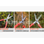 日本爱丽斯 ARS K-800 绿篱剪园林工具整篱剪修枝剪缩略图4