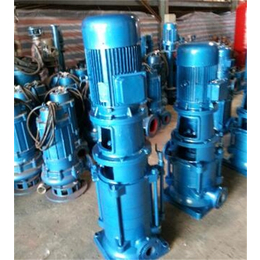 新楮泉水泵-316材质立式增压泵
