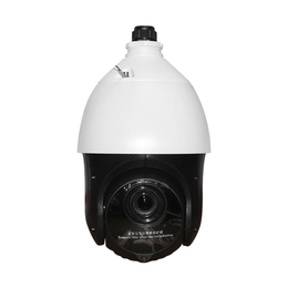 海康威视DS-2DC120IY-D100万网络监控摄像球机