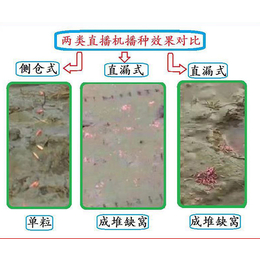 手拉式水稻播种机报价-江苏手拉式水稻播种机-荆门诚播农业