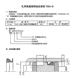 四氟孔用高速旋转组合密封TBH-II 旋转<em>H</em><em>型</em>组合密封