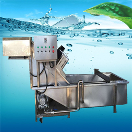 山东恒尔(多图)-海南蔬菜加工机械蔬菜清洗设备