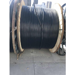 铝芯电缆厂家-天津市电线二厂-赤峰铝芯电缆