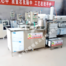 丽江全自动豆腐机厂家 新式多功能豆腐机设备整机发货