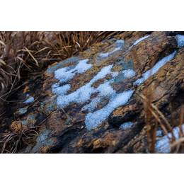 泰山一美(图)-泰安桶装水订水超市-山东泰安桶装水