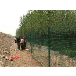 铁丝网围栏-开封绿色铁丝网-绿色铁丝网生产厂家