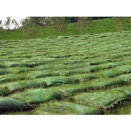 植生袋施工方案-植生袋-宏祥股份