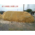 杭州*学校摆放长达12米大型黄蜡石缩略图4