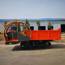 履带运输装卸车-飞创机械品质保证-工程橡胶履带运输装卸车厂家