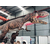 大型恐龙模具 恐龙出租出售缩略图3