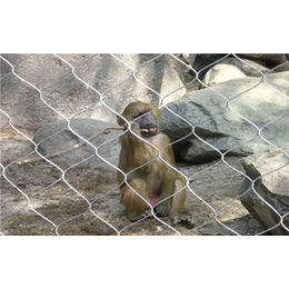 动物围网经销商-骐骏围栏-蚌埠动物围网