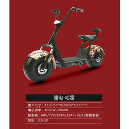 香港可折叠电动自行车服务放心可靠