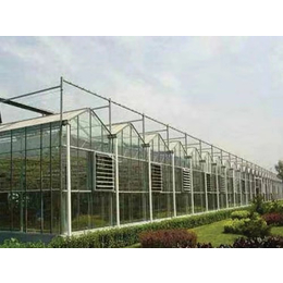 玻璃大棚质量好-雄鼎农业(在线咨询)-陕西玻璃大棚