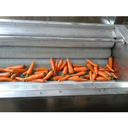 家用蔬菜清洗机销售-诚达食品机械(在线咨询)-襄阳清洗机