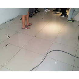 PVC防静电地板-阳泉防静电地板-尚熙*静电地板厂家(查看)