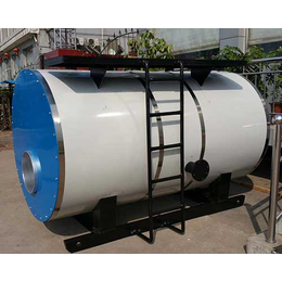 家用燃气锅炉-新疆燃气锅炉-净昇环保设备(查看)