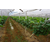 农业滴灌系统价格-欣农科技公司-湖北农业滴灌系统缩略图1